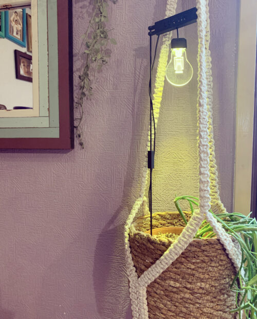 ikusei light